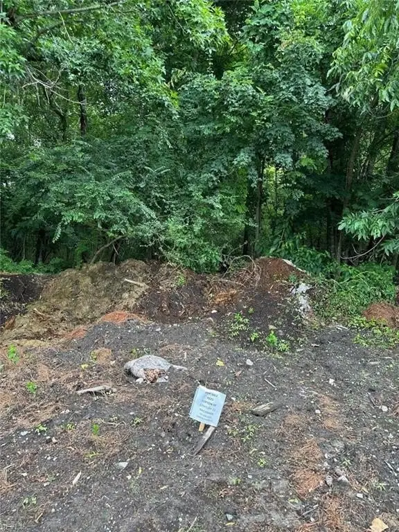 Picture 2
