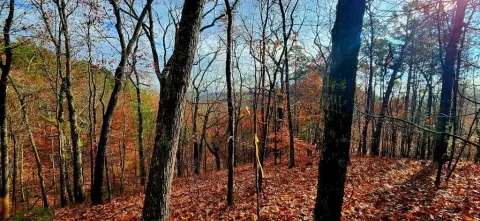 Ranger, GA Buildable Lot