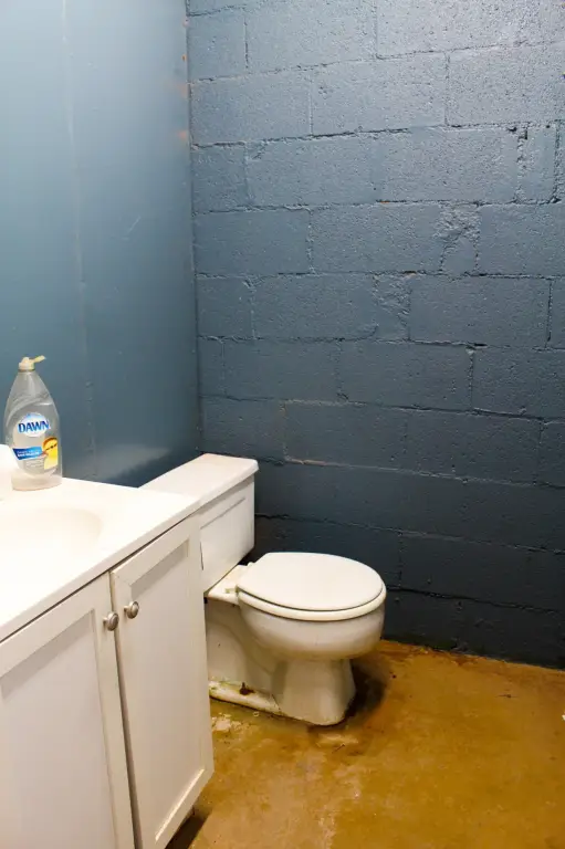 Picture 47
