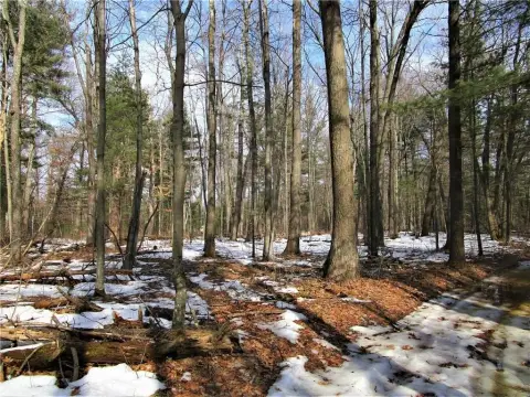 Heavily Wooded Land Near Frederic
