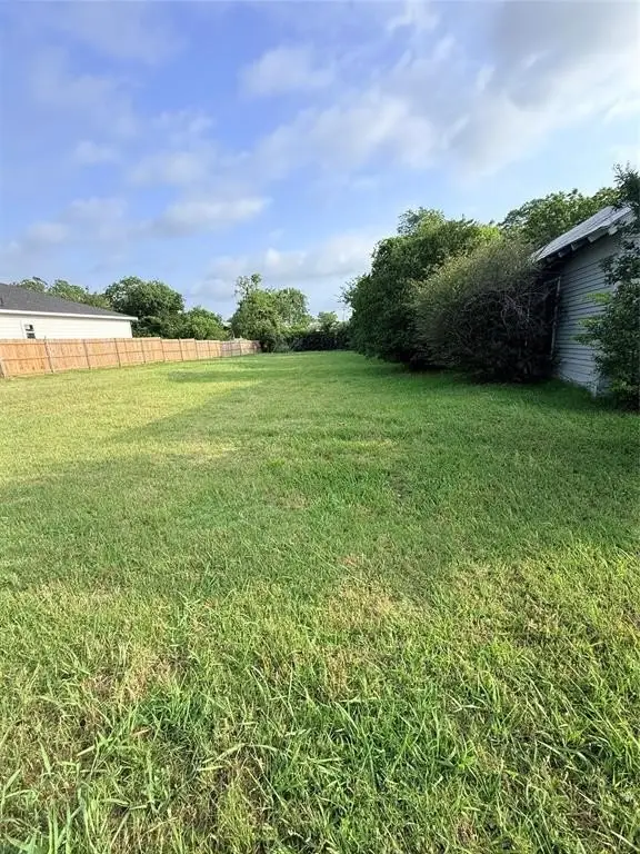 Picture 5