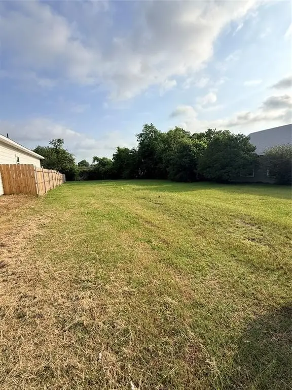 Picture 14