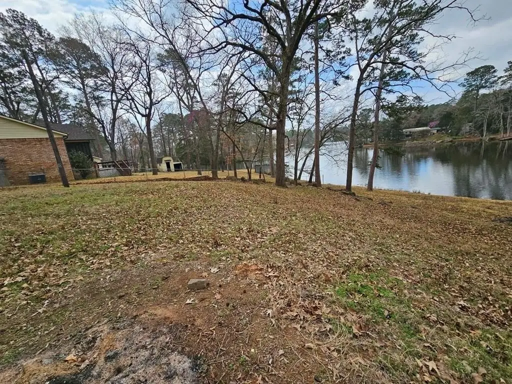 Picture 7