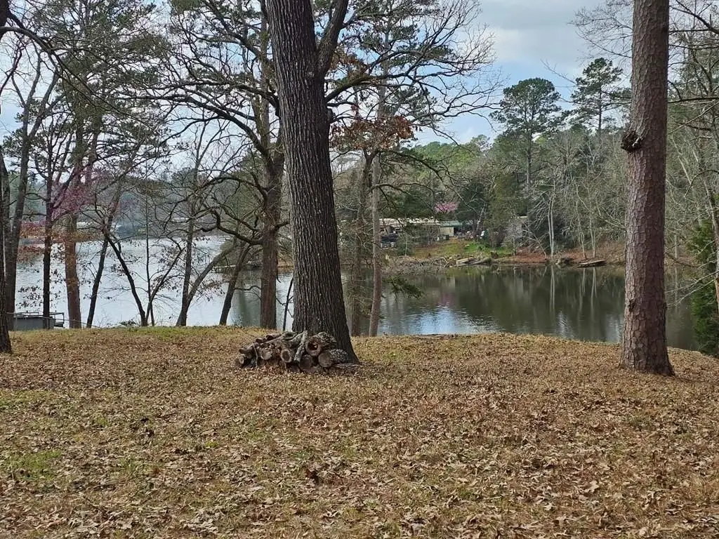 Picture 5