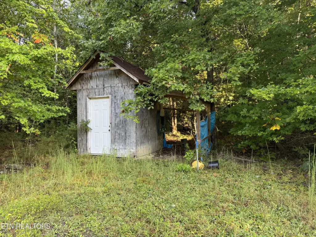 Picture 20