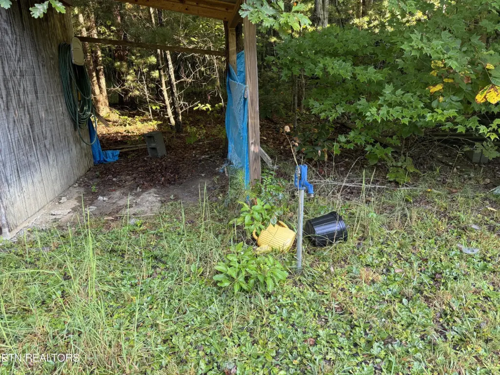 Picture 21