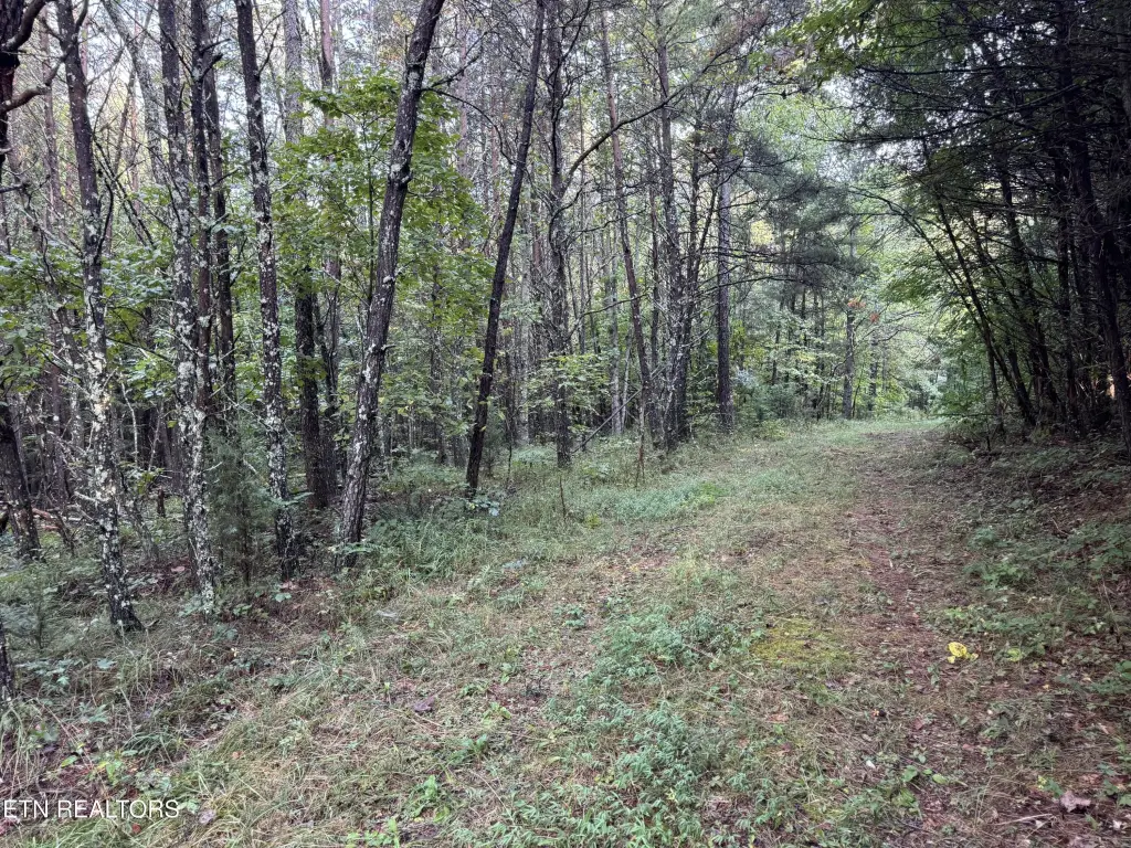 Picture 31