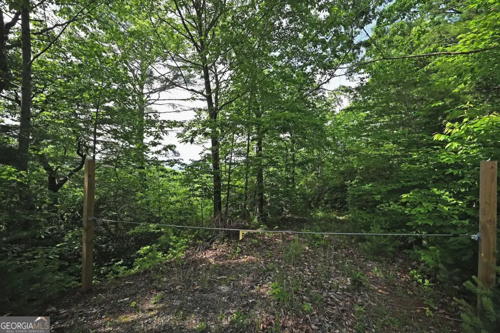 Picture 20