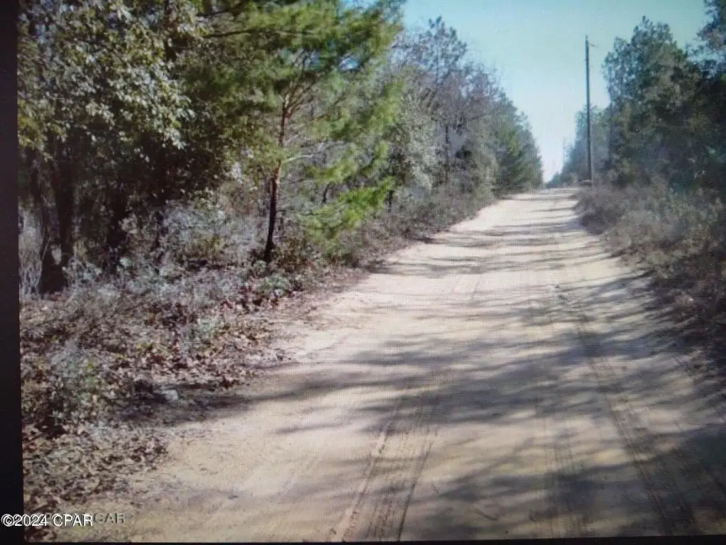 Picture 5