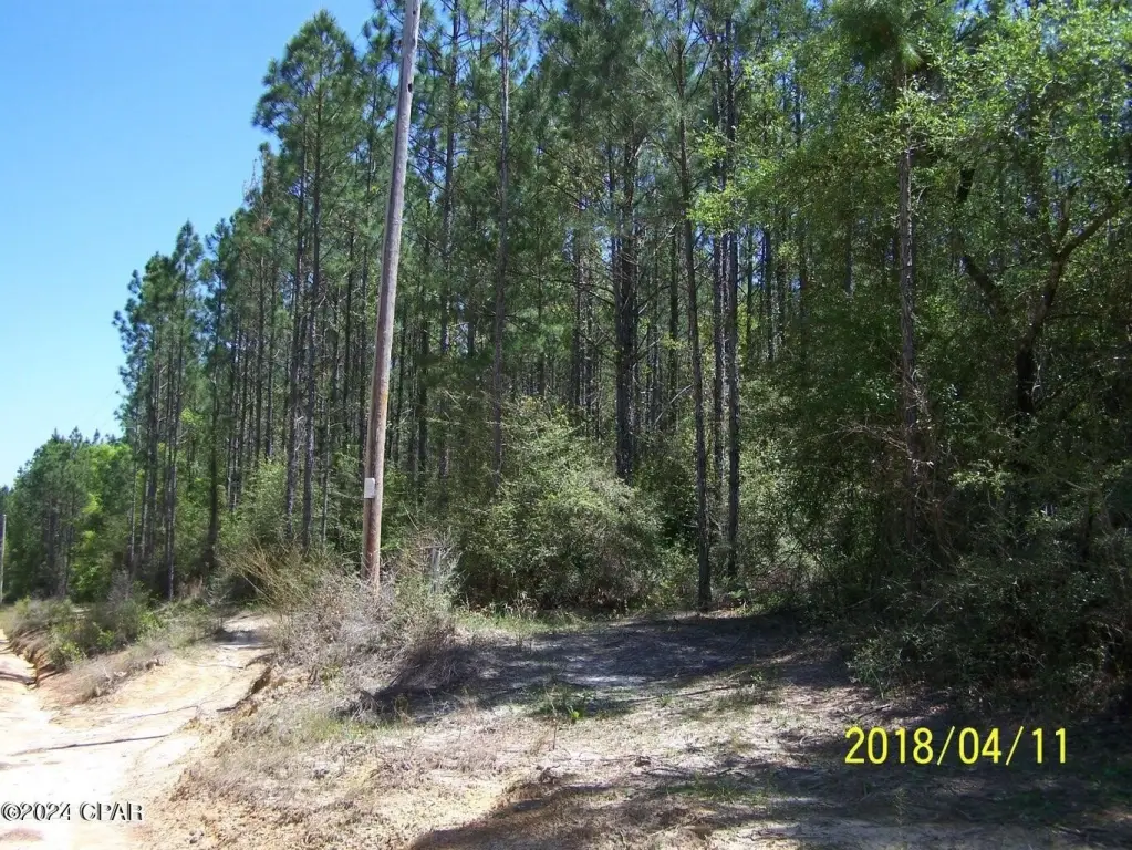 Picture 3