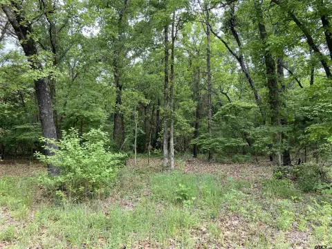 Lindale, TX Wooded Residential Lot