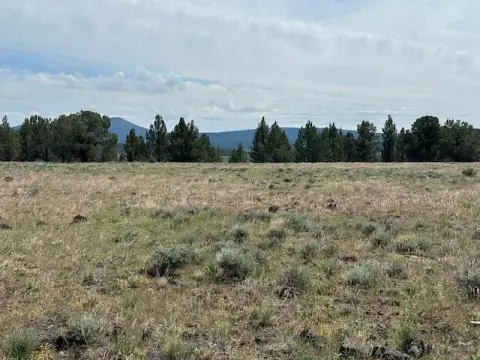 Scenic 1.71-Acre Residential Lots