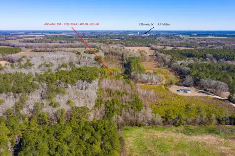 Elloree Land Near Lake Marion