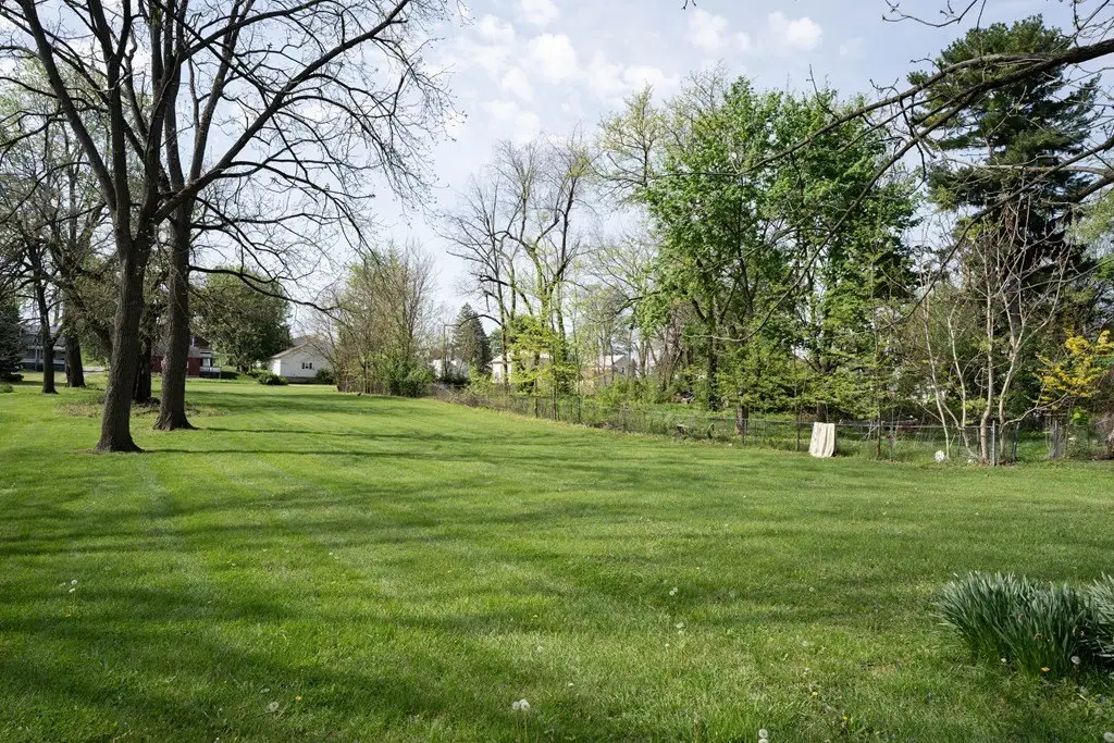 Picture 6