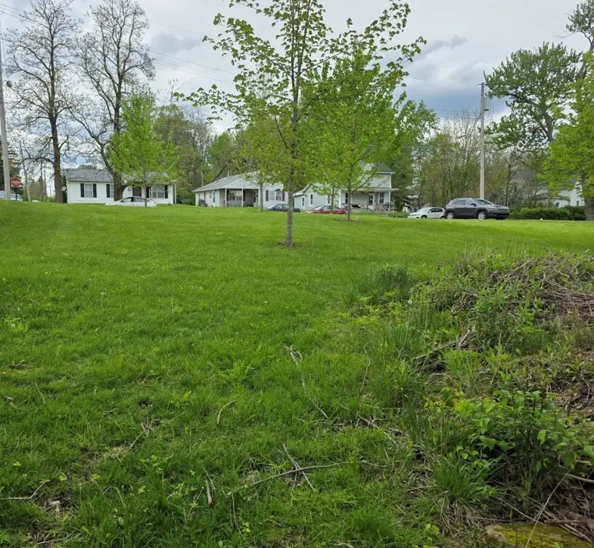 Picture 4