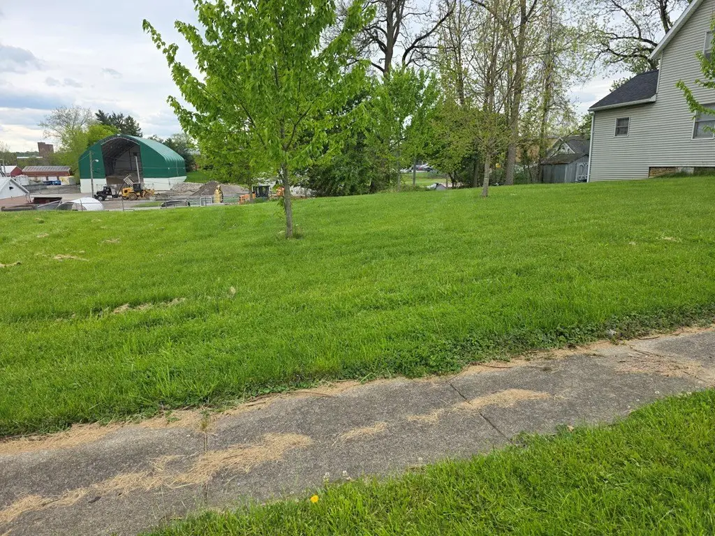 Picture 2