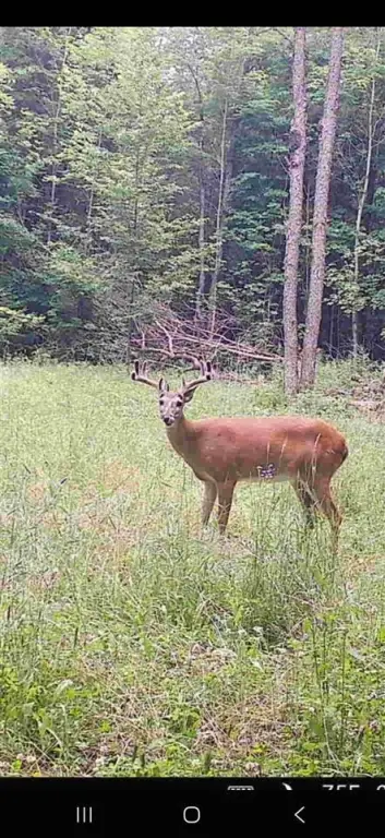 Picture 42