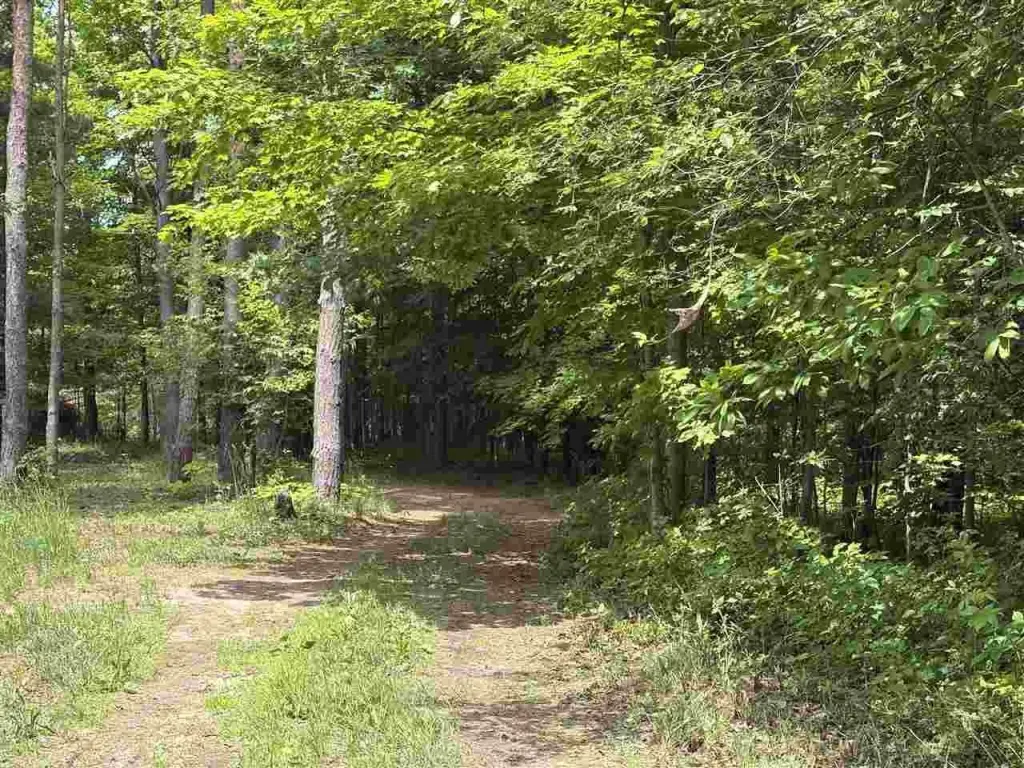 Picture 4