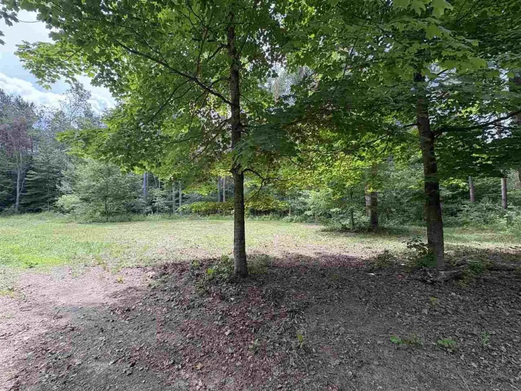 Picture 5