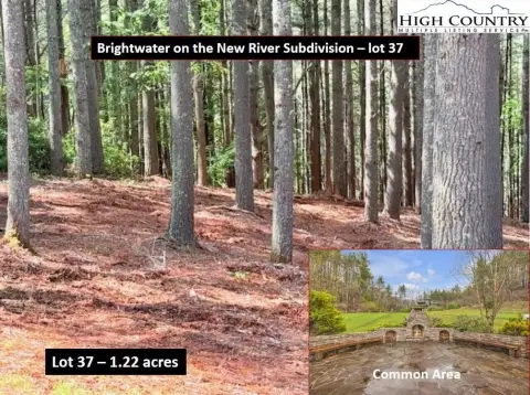 Wooded Lot in Gated Community