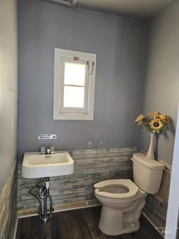Picture 21