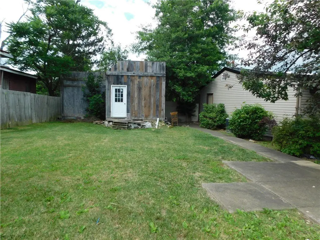 Picture 11