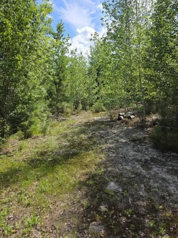 Picture 2
