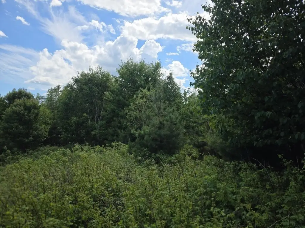 Picture 9