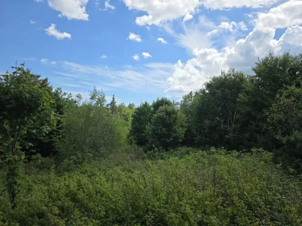 Picture 8