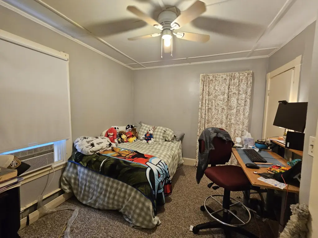 Picture 43