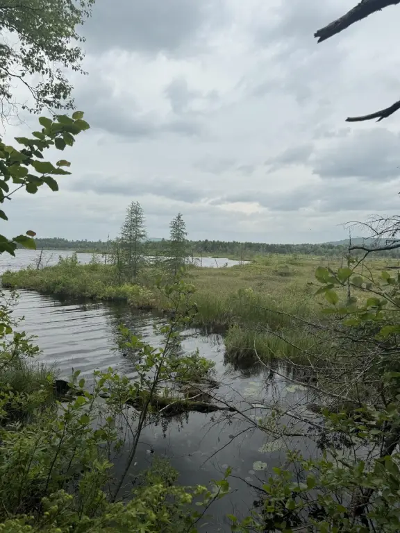 Picture 22