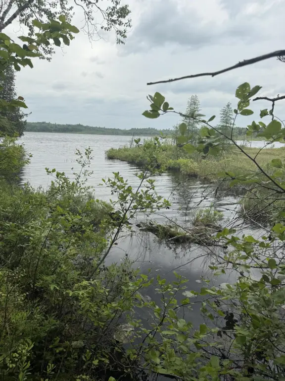 Picture 16