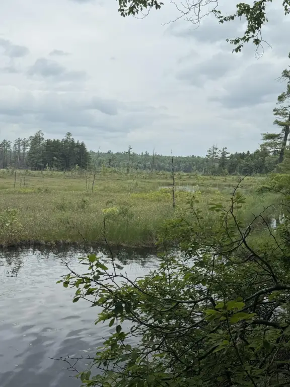 Picture 19