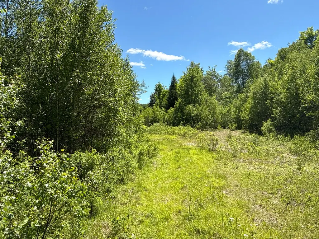 Picture 27