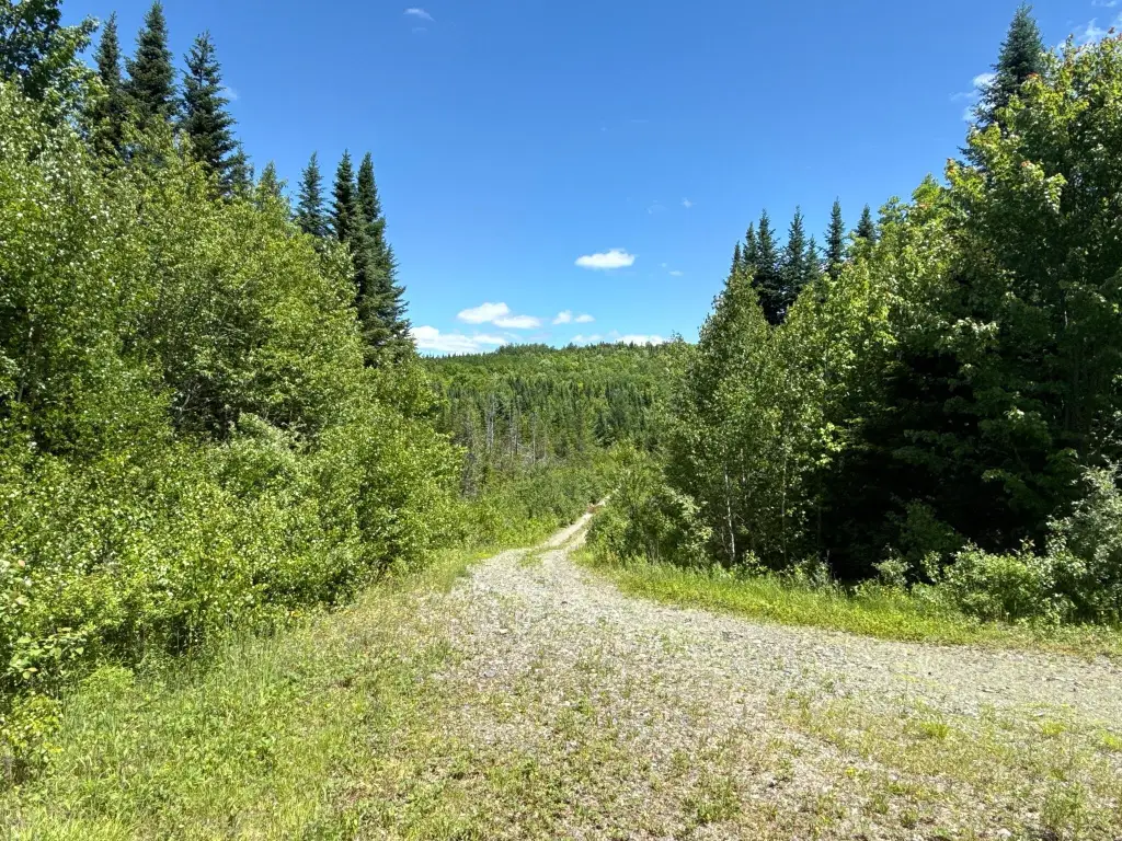 Picture 30