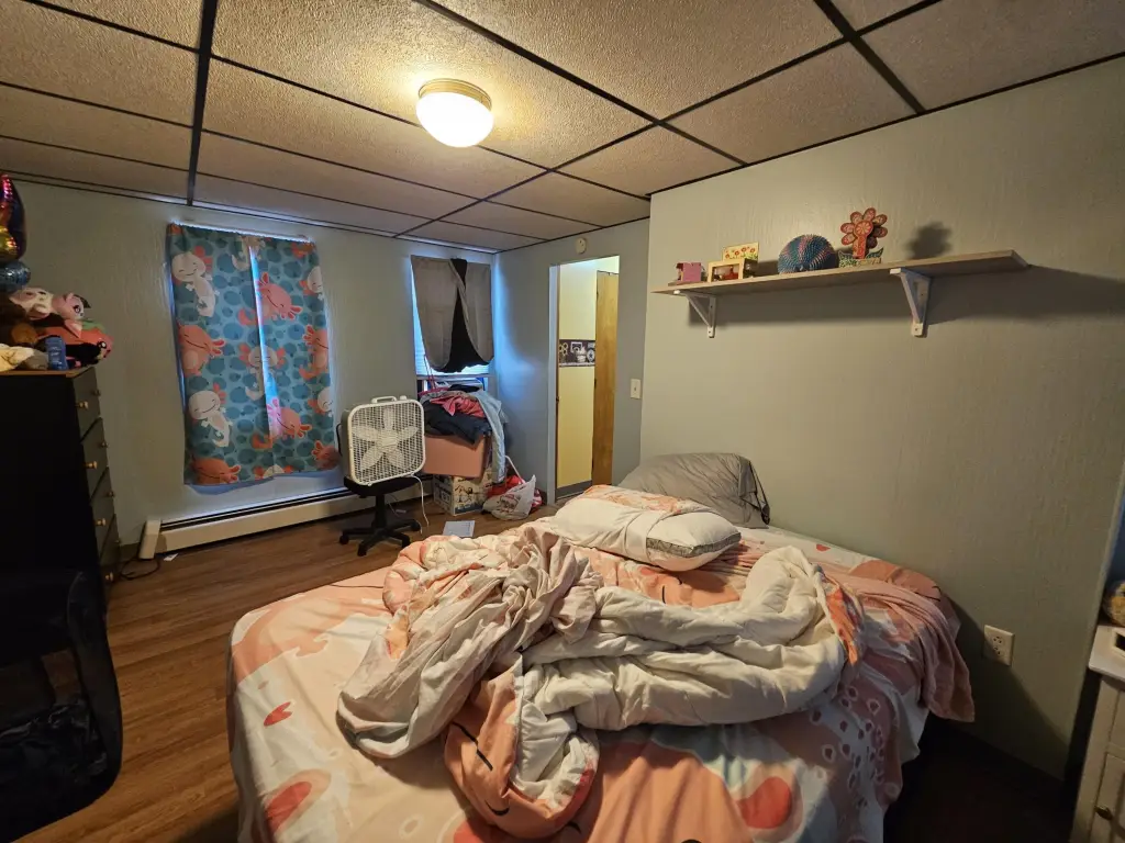 Picture 24