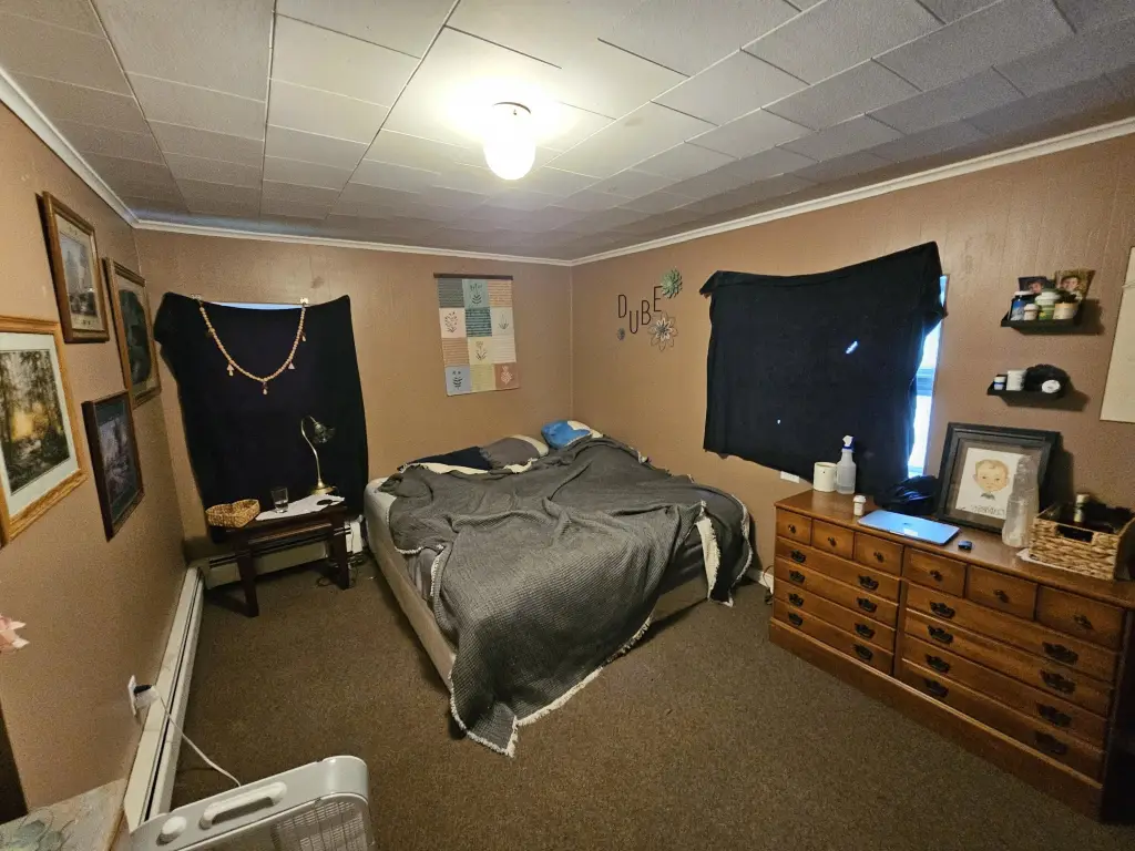 Picture 44