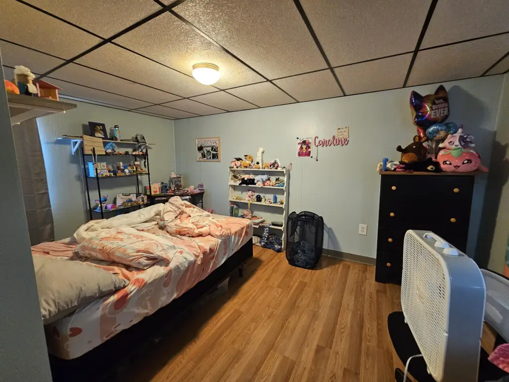 Picture 23