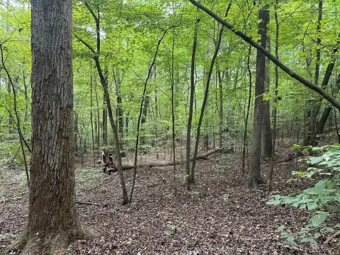 Wooded Lot with Lake Access