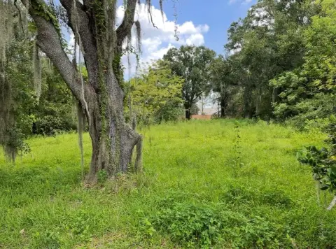 Winter Park Land Opportunity