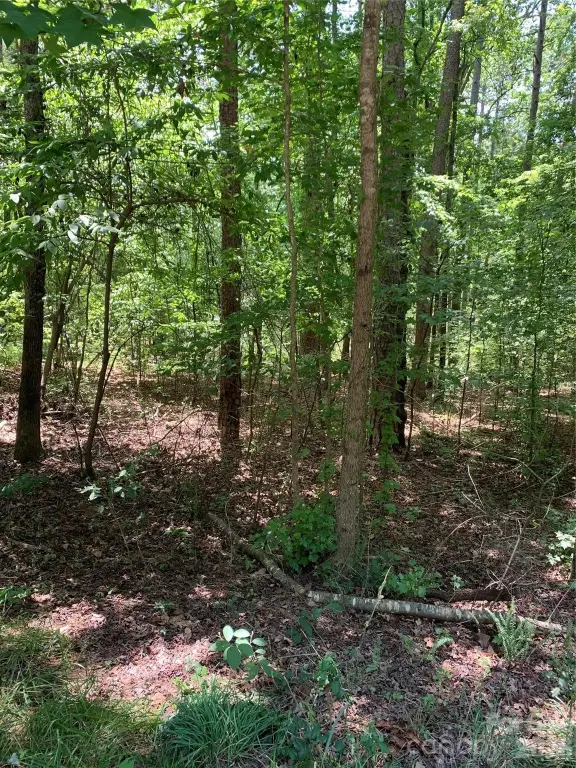 Picture 2