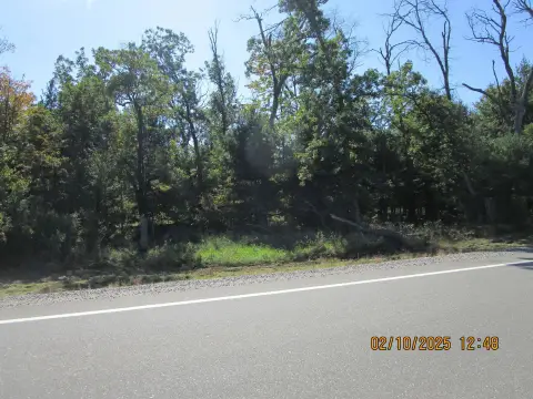 Wooded Lot in Adams County