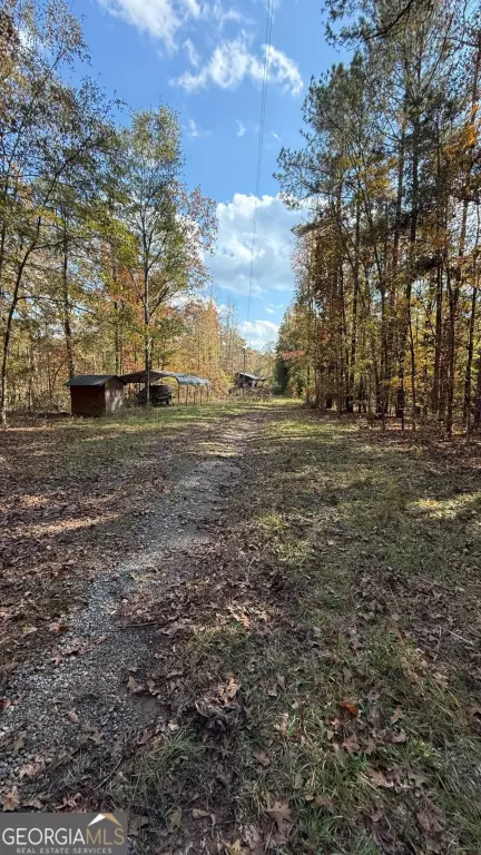 Picture 15
