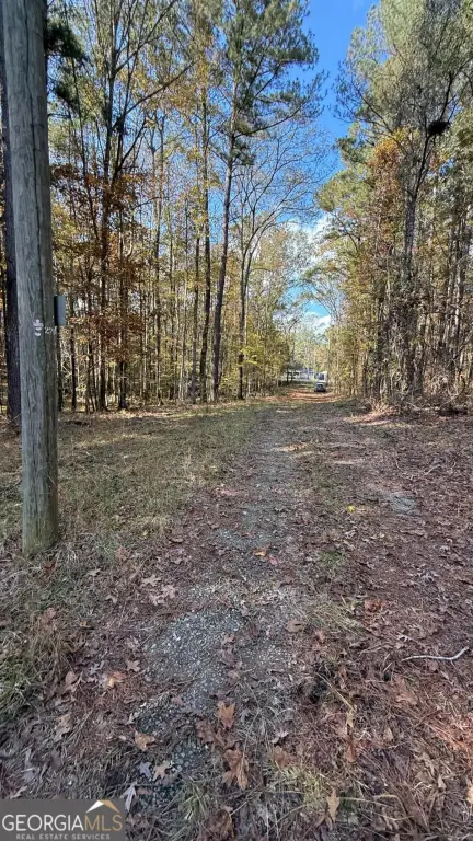 Picture 20
