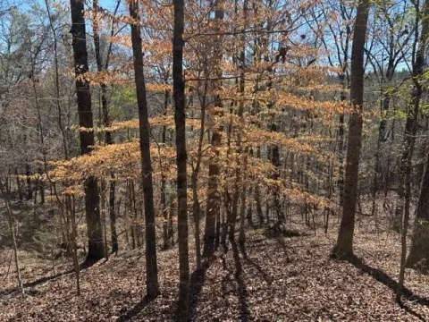 Selma, AL Hunting and Recreational Land