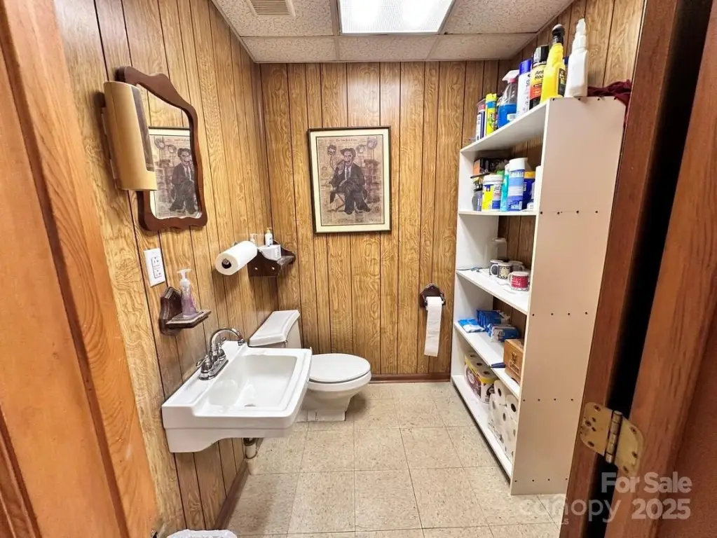 Picture 5