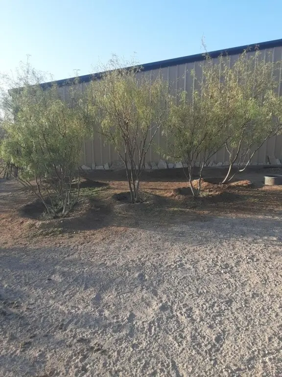 Picture 5