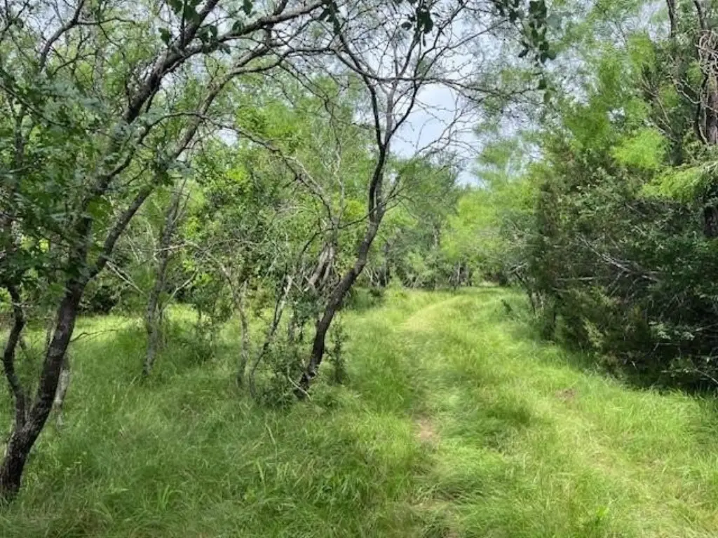 Picture 9