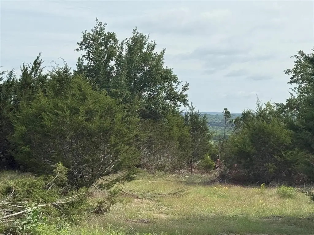 Picture 4