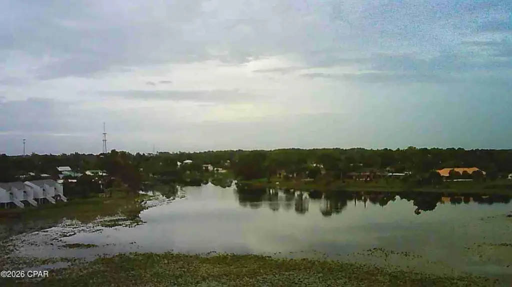 Picture 7